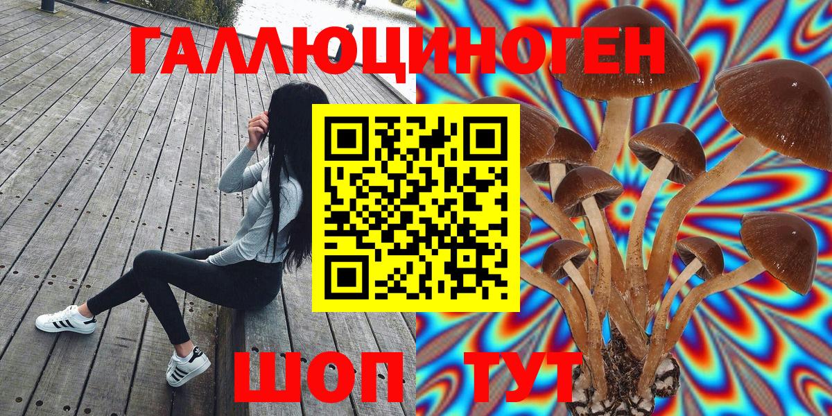 Ефремов  Псилоцибиновые грибы прущие грибы  Вход с VPN 